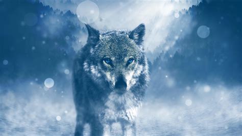wolfmark4k|Wolf 4K Wallpapers .